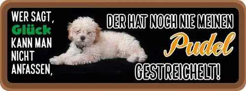 Schild wer sagt glück kann man nicht anfassen noch nie pudel gestreichelt hund
