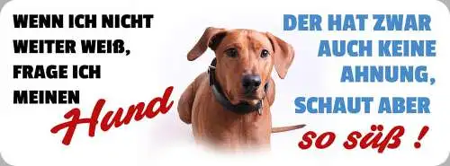 Schild wenn ich nicht weiter weiß frage ich meinen hund keine ahnung schaut süß
