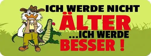 Schild Ich Werde Nicht Älter Ich Werde Besser Alt Alter 27 x 10 Blech od. Holz