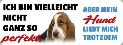 Schild ich bin vielleicht nicht so perfekt aber mein hund liebt mich 27 x 10
