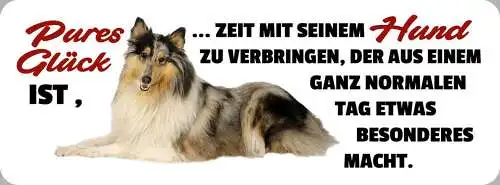 Schild pures glück ist zeit mit seinem hund zu verbringen tag etwas besonderes