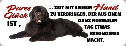 Schild pures glück zeit mit seinem hund zu verbringen normalen tag besonderes