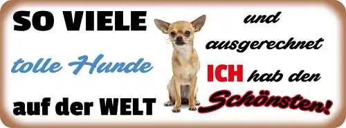Schild so viele tolle hunde auf der welt & ausgerechnet ich hab den schönsten