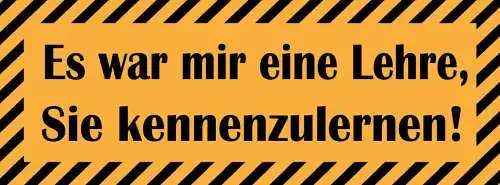 Schild Es War Mir Eine Lehre Sie Kennenzulernen 27 x 10 Blech od. Holz