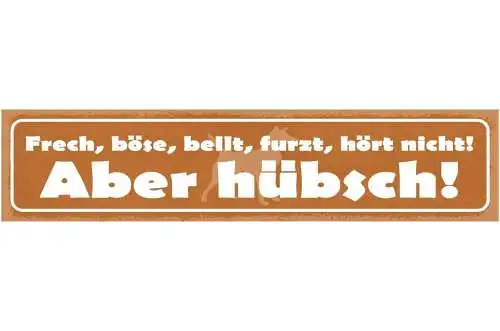 Schild frech böse bellt furzt hört nicht aber hübsch hund 46 x 10 blech od. holz
