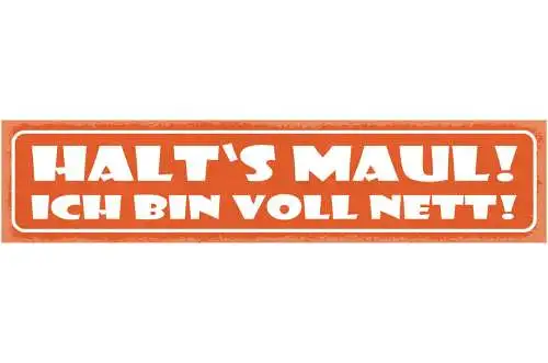 Schild Halt's Maul Ich Bin Voll Nett Freundlich Beschimpfen 46x10 Blech od. Holz