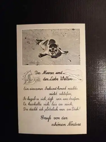 Seehunde, Gruß von der Nordsee 402802 gr C