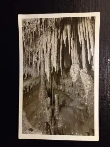 Detail z Klenotnice 402820 gr C