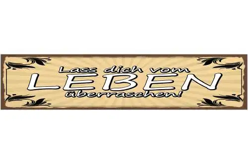 Schild Lass Dich vom Leben Überraschen Überraschung 46 x 10 Blech od. Holz