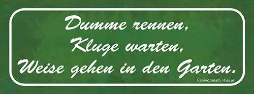 Schild Dumme Rennen Kluge Warten Weise Gehen In Den Garten 27x10 Blech od.Holz