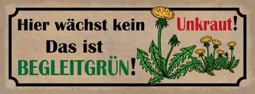 Schild Hier Wächst Kein Unkraut Das Ist Begleitgrün Garten 27x10 Blech od.Holz