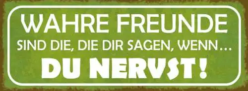 Schild Wahre Freunde Sind Die Die Dir Sagen Wenn Du Nervst 27x10 Blech od.Holz