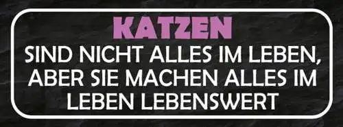 Schild Katzen Sind Nicht Alles Im Leben Aber Sie Machen Alles Lebenswert 27x10