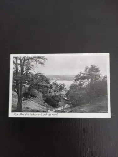 Dachsgrund auf die Havel 400509 gr A