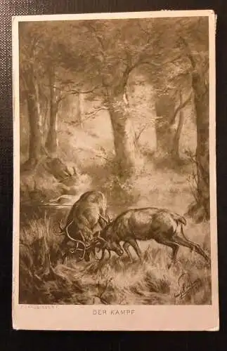 Ansichtskarte Pausinger Der Kampf Zwei Hirsche Gr 1796 H