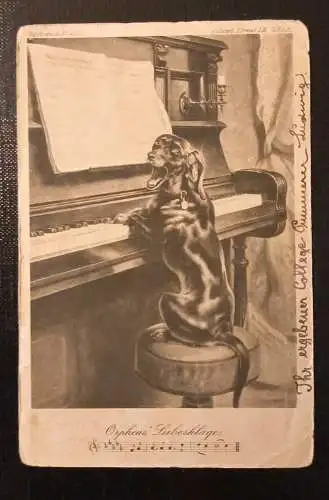 Orpheus Liebesklage Dackel Am Klavier Gr 1741 H