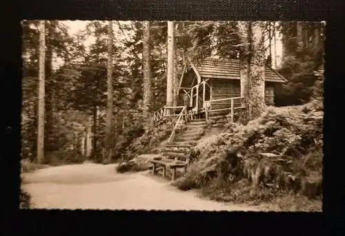 Freudenstadt Schwarzwald Teuchelweg Schöneckhütte 110114 Gr