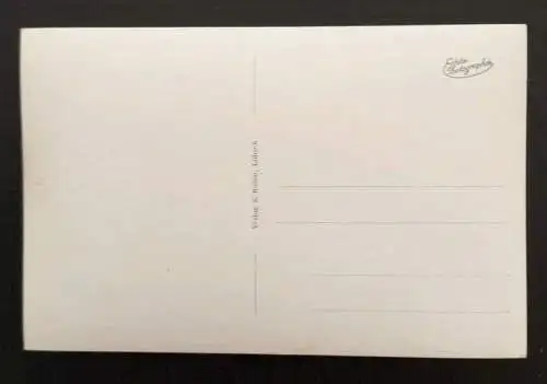 Insel Hiddensee Steilküste 180237 Gr