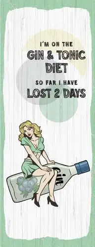 Schild I'm On A Gin & Tonic Diet So Far I Have Lost 2 Days 27x10 Blech od.Holz