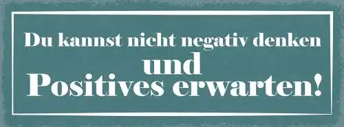 Schild Du Kannst Nicht Negativ Denken & Positives Erwarten 27x10 Blech od.Holz