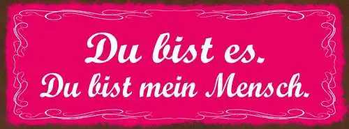 Schild Du Bist Es Du Bist Mein Mensch Liebe Beziehung Paar 27x10 Blech od.Holz