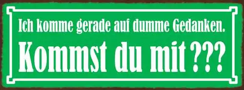 Schild Ich Komme Gerade Auf Dumme Gedanken Kommst Du Mit 27x10 Blech od.Holz