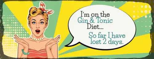 Schild I'm On A Gin & Tonic Diet So Far I Have Lost 2 Days 27x10 Blech od.Holz