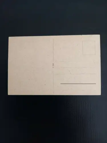 Mainz, Schloß Rheinstein 400375 gr