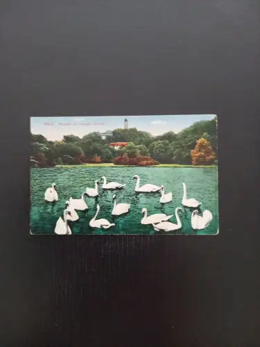 Greiz Parksee Mit Schwänen 410402 Gr