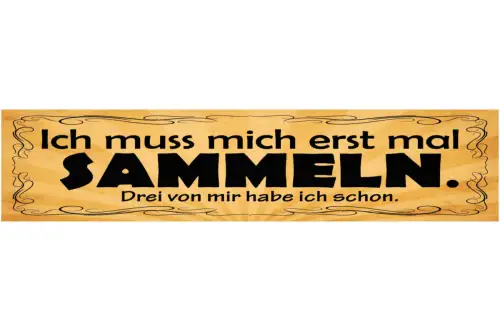 Schild Ich Muss Mich Erst Mal Sammeln Drei Von Mir Hab Ich Schon 46 x 10