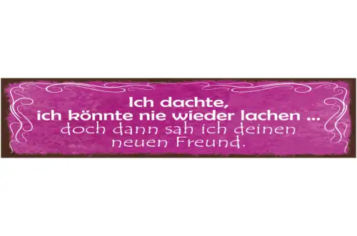 Schild Ich Dachte Ich Könnte Nie Wieder Lachen Doch Dann Sah Ich Deinen Freund