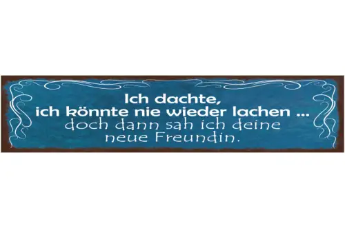 Schild Ich Dachte Ich Könnte Nie Wieder Lachen Doch Dann Sah Ich Deine Freundin