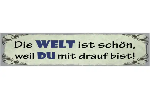 Schild Die Welt Ist Schön Weil Du Mit Drauf Bist Liebe 46 x 10 Blech od. Holz
