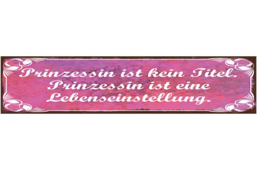 Schild Prinzessin Ist Kein Titel Es Ist Eine Lebenseinstellung 46 x 10