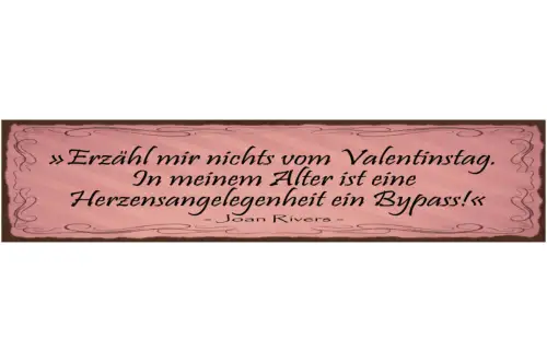Schild Erzähl Mir Nichts Valentinstag Alter Herzensangelegenheit Bypass J.Rivers
