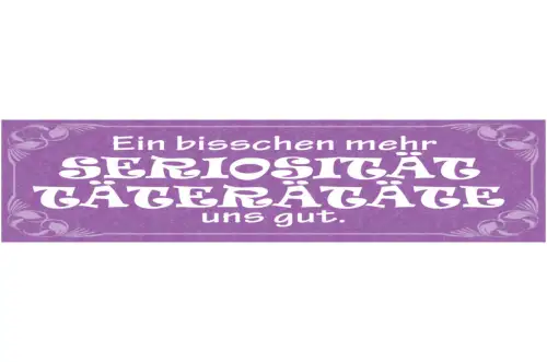 Schild Ein Bischen Mehr Seriösität Täterätäte Uns Gut 46 x 10 Blech od. Holz