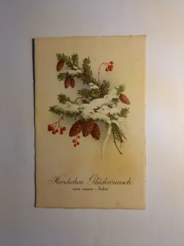 Glückwunschkarte Tannenzweig mit Schnee 85178 GR