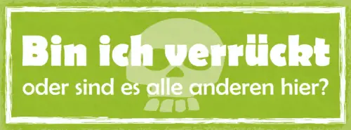 Schild Bin Ich Verrückt Oder Sind Es Die Anderen Irre 27x10 Blech od.Holz