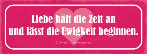 Schild Liebe Hält Die Zeit An & Lässt Die Ewigkeit Beginnen 27x10 Blech od.Holz