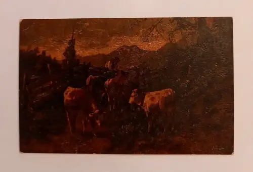 Kühe  mit Senn auf der Alm 600600A gr D