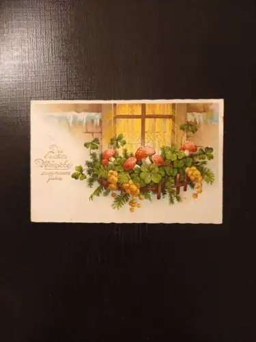 Klee Schwammerl Die Besten Wünsche 42104 Gr