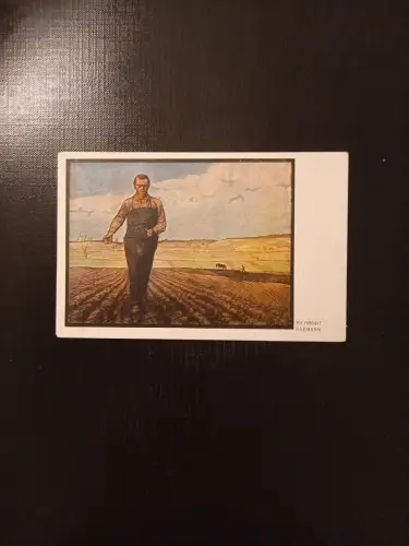 Eichrodt Säemann 110049 Gr