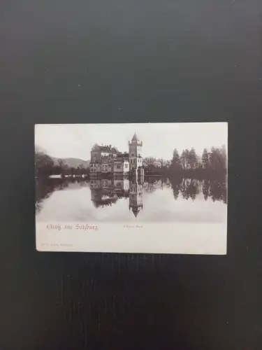 Salzburg Schloss Anif 740 Gr