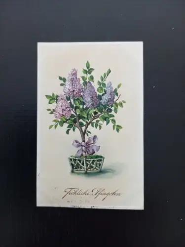 Fröhliche Pfingsten Flieder 40220 Gr