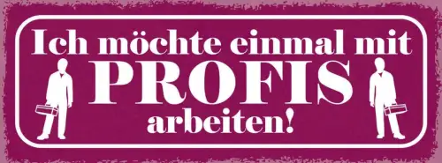 Schild ich möchte einmal mit profis arbeiten arbeit job 27x10 blech od.holz