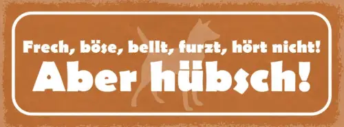 Schild frech böse bellt furzt hört nicht aber hübsch hund 27x10 blech od.holz