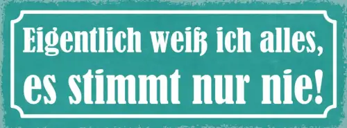 Schild eigentlich weiß ich alles es stimmt nur nie wissen 27x10 blech od.holz