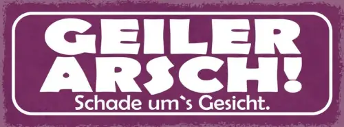 Schild geiler arsch schade um's gesicht 27x10 blech od.holz