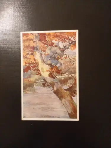 Künstler Ansichtskarte Rotes Kreuz Nr 350 Franz Pogatsch erklettert Baum  AB0035