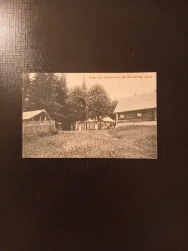 Lackerboden Schneeberg Niederösterreich Gr